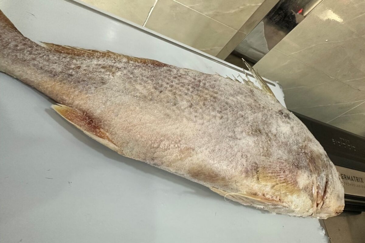 Croaker Fish (per kg)