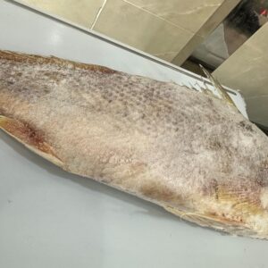 Croaker Fish (per kg)